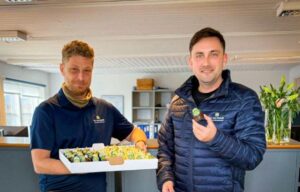 flødeboller til firmaevent 